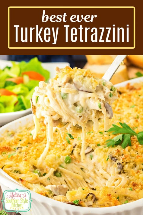 Southern Living Turkey Tetrazzini, Turkey Catchatori, Turkey Tetrazzini Recipe Easy Crockpot, Turkey Tettrazini Easy, Dinners With Leftover Turkey, Canned Turkey Recipes Simple, Leftover Turkey Tetrazzini Recipe, Chicken Tetrazzini No Canned Soup, Turkey Terrizinni