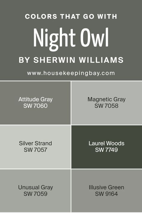 Colors that Go With Night Owl SW 7061 by Sherwin Williams Pretty Painting Ideas, Sherwin Williams Gray Paint Colors, Unusual Gray, Sherwin Williams Paint Gray, Sherwin Williams Coordinating Colors, Best Greige, Sherwin William, Magnetic Gray, Gray Paint Colors