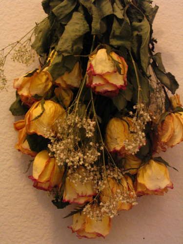 dried roses Dried Flowers Ideas, Dead Roses, Drying Flowers, Dried Flowers Diy, Dried Roses, Mother's Day Bouquet, Drying Roses, Still Life 2, Fresh Flower Bouquets