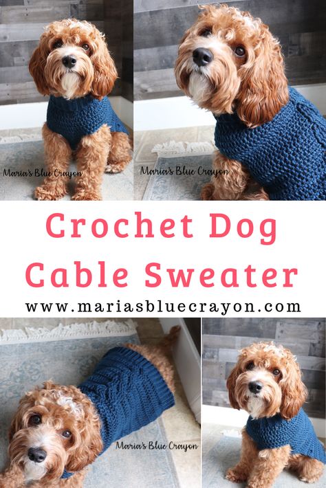 Learn how to make this crochet dog sweater with a cable detail down the back. This tutorial allows you to make any size for a custom fit. Full video tutorial on Maria's Blue Crayon blog. #dog #sweater #crochet #pattern #tutorial #video Doggie Sweaters, Crochet Dog Sweaters, Crochet For Dogs, Crochet Dog Sweater Free Pattern, Knitted Dog Sweater Pattern, Dog Sweater Crochet, Crochet For Pets, Sweater Free Pattern, Pet Crochet