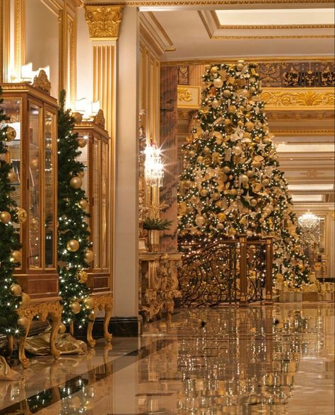 White House Christmas Tree, Luxury Christmas Decor, Diy Christmas Lights, White House Christmas, Christmas Dreaming, Dream Wedding Decorations, Classy Christmas, Christmas Wonderland, Christmas Mood