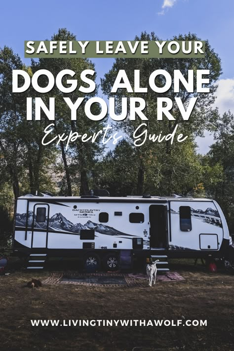 Rv Dog Space, Full Time Rv Living With Dogs, Motorhome With Dogs, Full Time Rving With Dogs, Dogs In Camper, Rv Life With Dogs, Rv Camping With Dogs Hacks, Dog Rv Ideas, Rv Pet Hacks