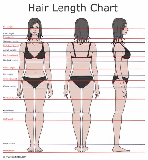 Hair Length Guide, Hair Growth Charts, Hair Chart, Growing Your Hair Out, Waist Length Hair, Hair Length Chart, Kareena Kapoor, Katrina Kaif, Hair Length