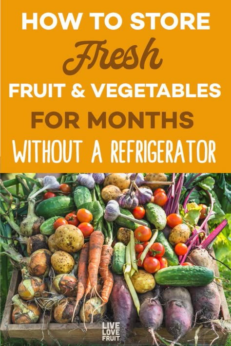 fresh harvest from garden with text - how to store fresh fruit and vegetables for months without a refrigerator Root Cellars, Fresh Fruit And Vegetables, Storing Fruit, Storing Vegetables, Canned Food Storage, Canning Food Preservation, Fruit And Vegetable Storage, Homestead Gardens, Root Cellar