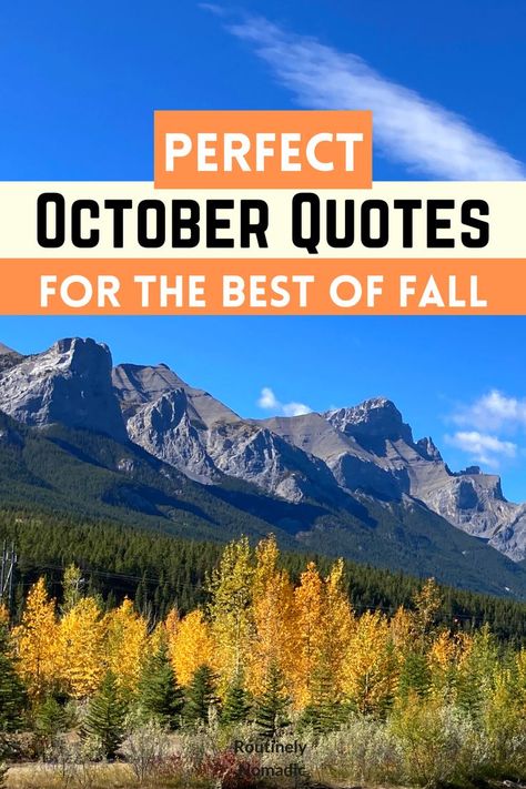 October Sayings, October Captions, Hello October Quotes, Welcome October, October Quotes, Monthly Quotes, Inspirational Funny, Hello October, When You Are Happy