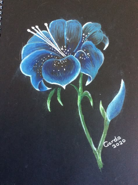 Black Paper Drawing Flower, Drawing With Black Paper, Drawings For Black Paper, Chalk Pastel On Black Paper, Color Pencil Art On Black Paper, Painting Ideas With A Black Background, Monochrome Drawing Colour, Oil Pastel On Black Paper Easy, Black Paper Pastel Art