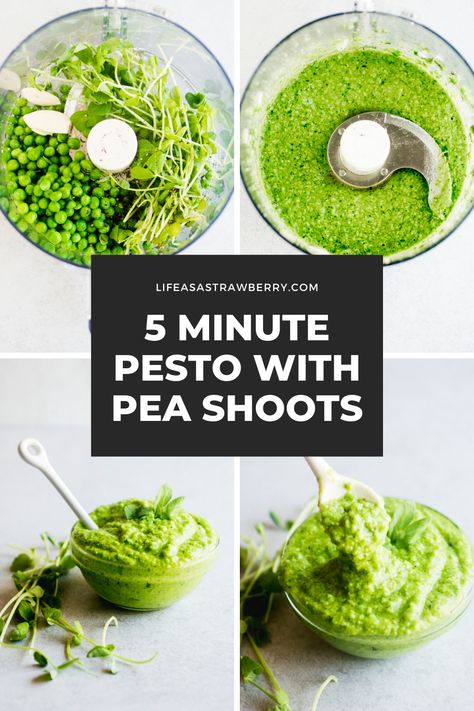 5 Minute Pea Pesto - This easy pesto recipe uses fresh peas and pea shoots for a springtime twist! Make this pesto sauce ahead of time and store in the fridge or freezer to use with pasta, pizza, crostini, salmon, or salads all week long. It’s perfect for meal prep and naturally vegan and nut free. Ready in just five minutes in your food processor! Pea Microgreens Recipes, Microgreens Recipe Ideas, Micro Greens Recipe, Pizza Crostini, Pea Shoots Recipe, Green Pea Pesto, Easy Pesto Recipe, Microgreen Recipes, Microgreens Garden