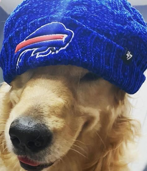 Buffalo Bills Aesthetic, Bills Aesthetic, Buffalo Bills Baby, Go Bills, Safe Deposit Box, Bills Mafia, Buffalo Bill, Deposit Box, Buffalo Bills