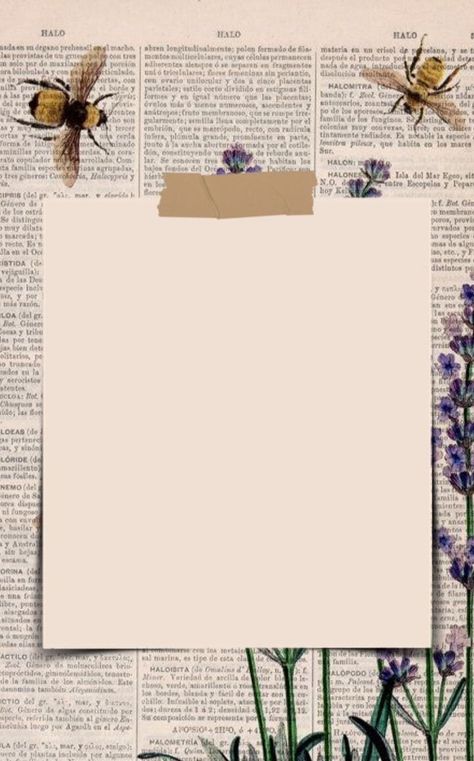 Wallpaper Estetika, Bond Paper Design, Note Writing Paper, Vintage Paper Background, Paper Background Design, Photo Frame Design, Powerpoint Background Design, Power Points, Instagram Frame Template