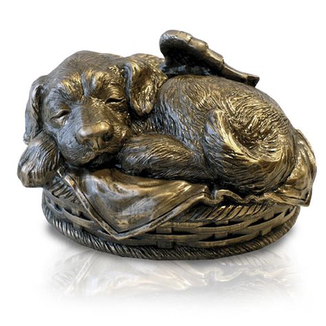 Sleeping Angel Dog Cremation Urn - Bronze Labrador Puppy Training, Angel Dog, Sleeping Angel, Marble Resin, Dog Urns, Pet Keepsake, Sleeping Puppies, Pet Urn, Engraved Plaque