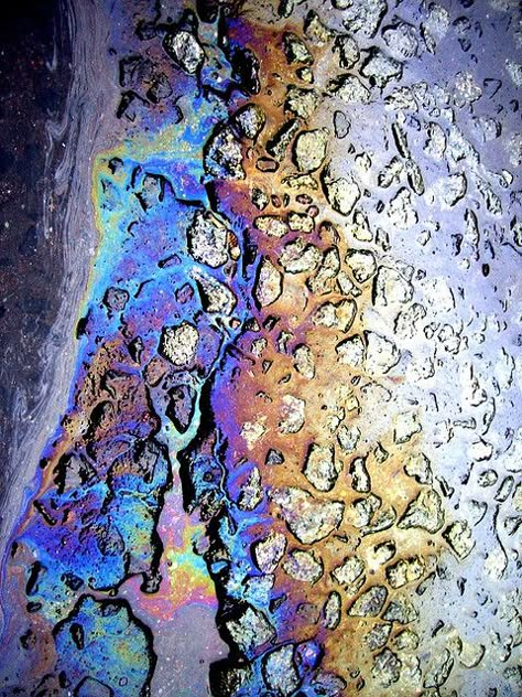 Terrible for the environment, excellent for the eyes. To look at, that is. Foto Macro, Metallic Rainbow, Texture Inspiration, Oil Spill, Oil Slick, Textures And Patterns, Texture Color, Pattern Texture, Surface Textures