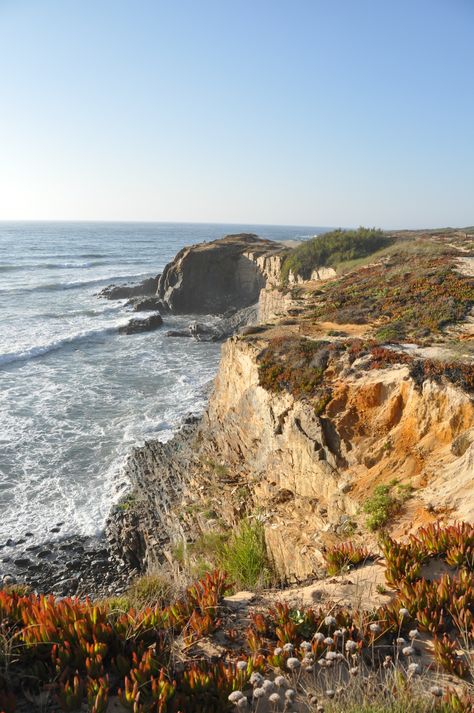 Coastal Cliffs, Portugal Beach, Algarve Portugal, Natural Park, Travel Europe, Algarve, Long Weekend, Europe Travel, The Natural