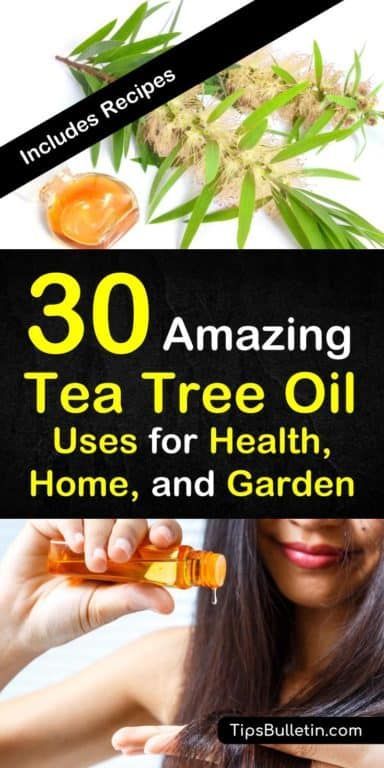 Tea Tree Oil Uses, Cleaner Recipes, Deep Cleaning Tips, Melaleuca Alternifolia, Remove Toxins, Organic Foods, Diy Cleaners, Natural Cleaning, Simple Life Hacks