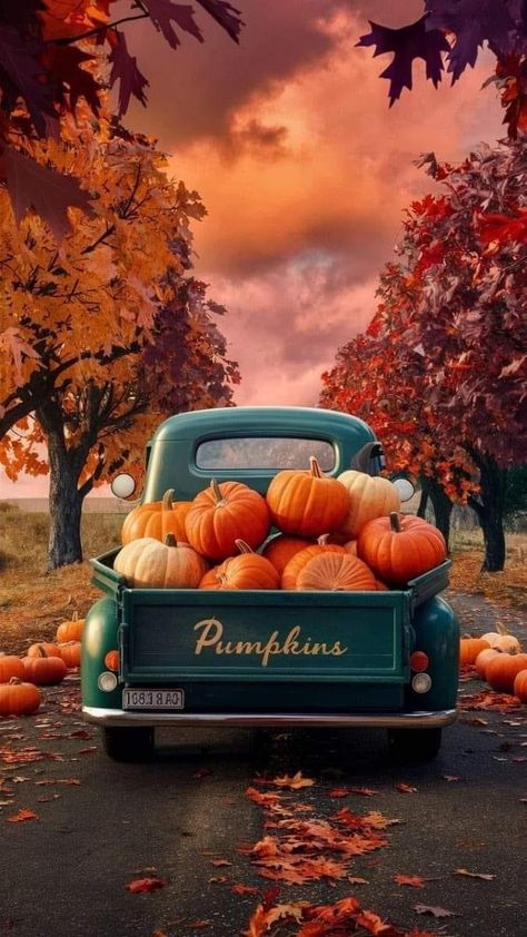 Summer To Fall Background, Autumn Aesthetic Cozy Wallpaper, Fall Phone Widget Aesthetic, Halloween Wallpaper Backgrounds Vintage, Fall Truck Wallpaper, Fall Phone Backgrounds Wallpapers, Vintage Fall Backgrounds Iphone, Pumpkin Screensaver, Cozy Fall Wallpaper Iphone