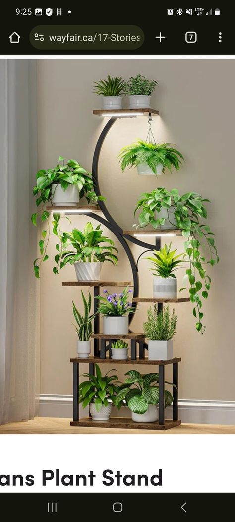 Indoor Plant Shelf, Tall Plant Stand, Indoor Plant Shelves, Plant Rack, Tall Plant, Tall Plant Stands, Corner Plant, نباتات منزلية, Wood Centerpieces