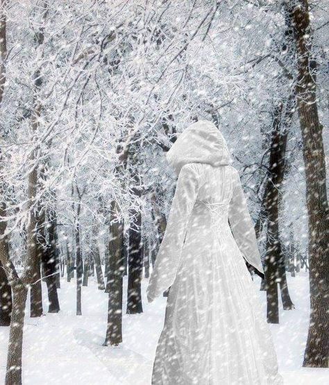 Winter Fae, Gyro Zeppeli, Tumblr Themes, Magic Fairy, Resident Evil Village, Fairytale Photography, Terry Pratchett, Winter Walk, Snow Scenes