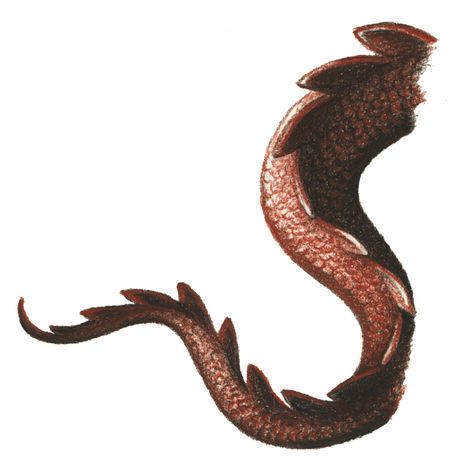 dragon tail Dragon Tail Drawing, Tail Drawing Reference, Dragon Mural, Tail Ideas, Dragon Tumbler, Tail Drawing, Dragon Chino, Medical Astrology, Dragon Tail