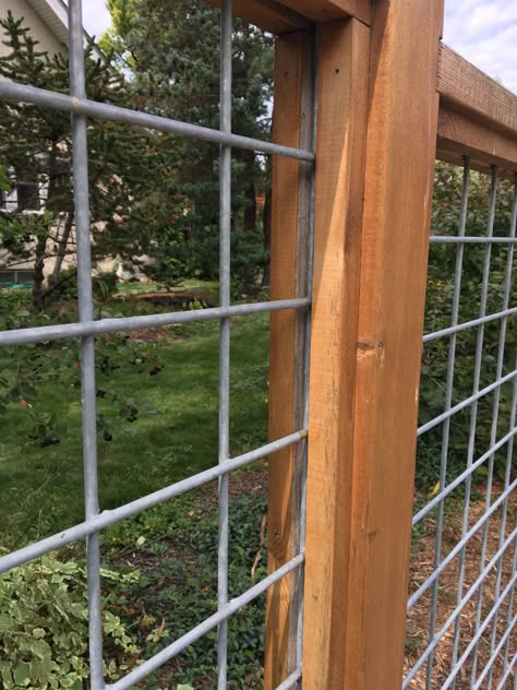 Backyard Garden Aesthetic, Hogwire Fence, Cheap Diy Fence, Wood And Wire Fence Ideas, Hog Panel Fencing, Wire And Wood Fence, Cattle Panel Fence, Front Yard Design Ideas, Hog Wire Fence