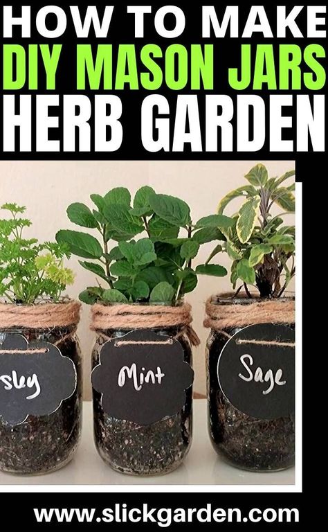 How To Make DIY Mason Jars Herb Garden – Slick Garden Grow Herbs In Mason Jars, How To Grow Herbs In Pots, Mason Jar Herb Garden Indoor, Selling Herbs, Jar Herb Garden, Jar Garden, Herb Jars, Mason Jar Garden, Mason Jar Herbs