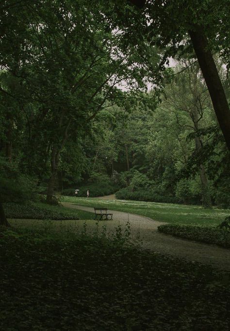 숲 사진, Dark Forest Aesthetic, Dark Green Aesthetic, Nature Pics, Forest Path, Pretty Landscapes, Plant Aesthetic, Green Forest, Severus Snape