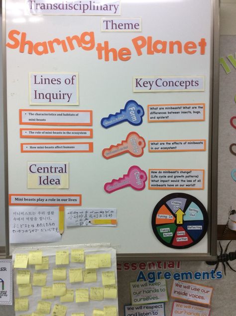 IMG_0128 Ib Bulletin Boards, Inquiry Classroom, Inquiry Cycle, Ib Pyp Classroom, Unit Of Inquiry, Ib Classroom, Pyp Classroom, Ib Learner Profile, Sharing The Planet