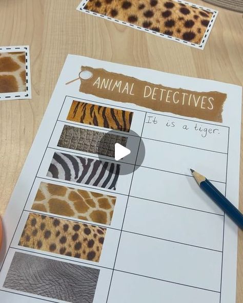 Mia Jayne on Instagram: "Animal Detectives 🕵️‍♀️ 🦁🦓🐘🦒   A little writing activity to support our learning this week! You can download the template on my TES ➡️ link in my bio   Animal Figures - @kcsearlyyears   #eyfsteacher #earlyyears #kindergarten #eyfsteachersofinstagram #eyfs #iteachtoo #teacher #writingactivity" Dear Zoo Display Board Eyfs, Animals Including Humans Ks1, Animal Activities Eyfs, Dear Zoo Activities Eyfs, Dear Zoo Eyfs, Animal Writing Activities, Animal Detective, Animals Lesson Plan, Environmental Crafts