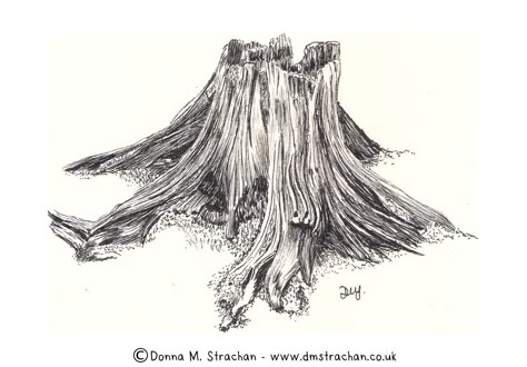 Tree stump - Inktober day 15 | Today's official Inktober the… | Flickr Tree Trunk Drawing, Tree Stump Ideas, Stump Ideas, Drawing Trees, Tree Drawings, Learn To Sketch, Pencil Trees, Tree Textures, Tree Stumps