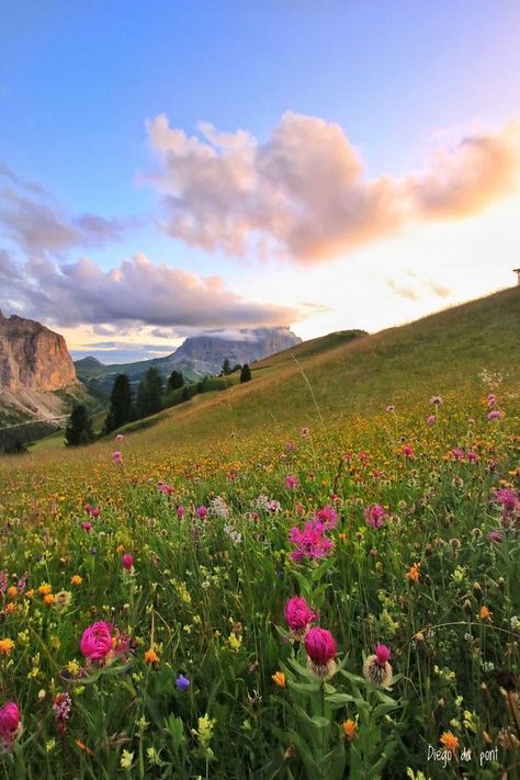 Farm Aesthetic, Spring Sunset, Sunset Flowers, Ideas Photoshoot, Aesthetic Flowers, Flowers Garden, Aesthetic Summer, Italy, Flowers