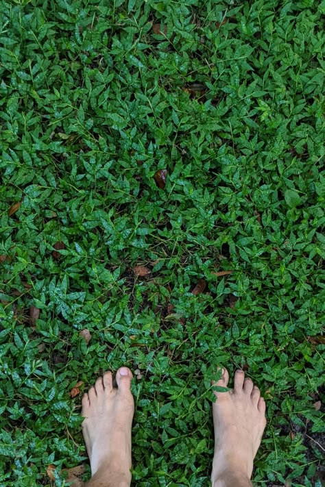 Get outside, #gobarefoot. Enjoy the rewards. #barefoot #grounding #balance #earth #bemorehuman Earth Grounding Aesthetic, Grounding Pictures, Grounded Photography, Healing Photos Photography, Playing Outside Aesthetic, Grounding Images, Save The Earth Aesthetic, Primal Aesthetic, Grounding Aesthetic