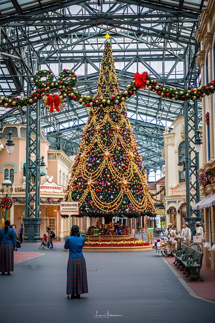 Tokyo Disney Christmas, City Christmas Tree, Outdoor Decoration Christmas, Crismas Tree, Outdoor Tree Decorations, Christmas Tree Outdoor, House Christmas Decorations, Giant Christmas Tree, Big Christmas Tree