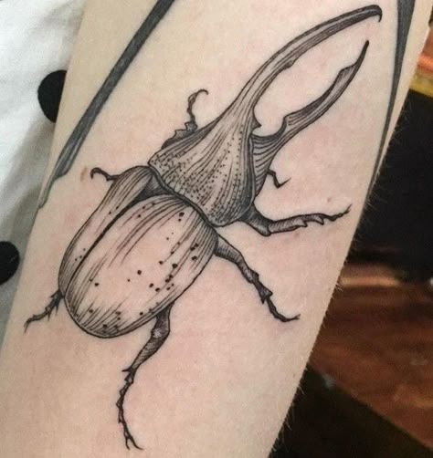 Goliath Beetle Tattoo, Hercules Beetle Tattoo, Insect Tattoos, Red Bug, Beetle Tattoo, Tattoo Dotwork, Insect Tattoo, Bug Tattoo, Tattoos Sleeve