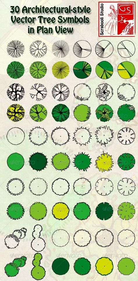 Vector Tree Symbols in Plan View.  #Trees  #TreeSymbols  #PlanView  #TreeStamps #Plants  #Horticulture  #Drawing Drawing Trees, Landscape Design Drawings, Tree Plan, Landscape Architecture Drawing, Plan Architecture, Landscaping Trees, Glass Houses, Tree Sketches, Landscape Sketch