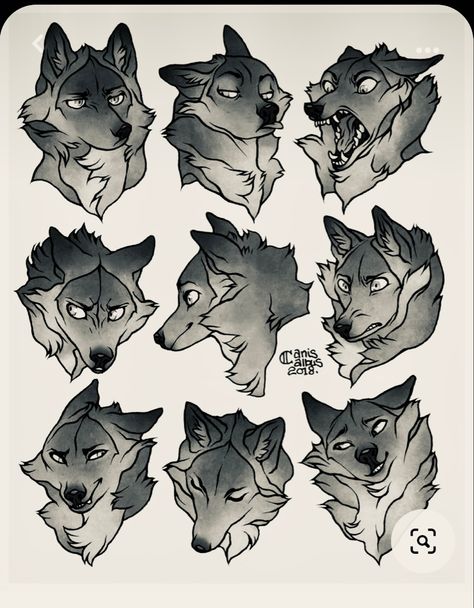 Wolf Facial Expressions Drawing, Wolf Study Drawing, Wolf Head Reference, Werewolf Pose Reference, Wolf Anatomy Drawing, Wolf Side View, Cartoon Wolf Drawing, Wolf Head Drawing, Wolf Anatomy