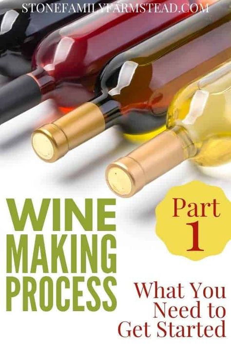 How To Make Your Own Wine At Home, Wine Making For Beginners At Home, Make Your Own Wine At Home, Wine Making For Beginners, How To Make Wine At Home, Wine Recipes Homemade, Make Wine At Home, Making Wine From Grapes, Fruit Wine Recipes