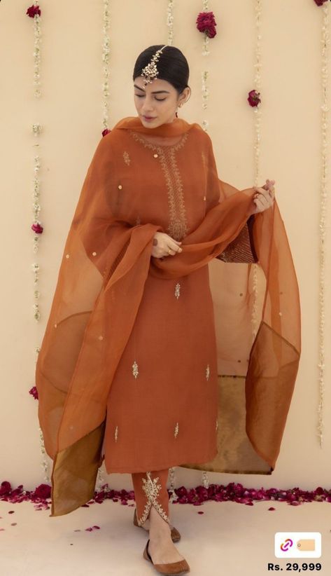 Rust Outfit, Pretty Suits, Punjabi Dress Design, Suits For Women Indian, Function Dresses, Trendy Outfits Indian, Trendy Suits, Fancy Suit, Pakistani Fashion Casual