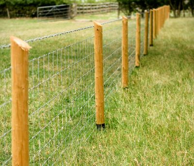 Stock Fencing, Backyard Fencing, Farm Fencing, Short Fence, Backyard Fence Decor, Fence Design Ideas, Fence Outdoor, Fences Ideas, Fence Stain