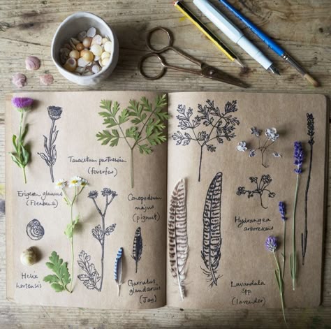 Journal D'inspiration, Journal Prompts For Kids, Kunstjournal Inspiration, Botanical Sketchbook, Nature Journals, Field Journal, Nature Journaling, Plant Journal, Arte Sketchbook