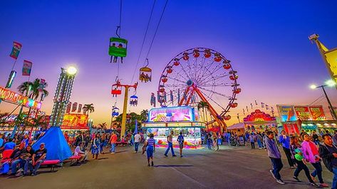 South Florida Fair, Dj Photos, Florida Photography, Fair Food, Vacation Days, Safari Park, Palm Beach Florida, Palm Beach County, Craft Brewing