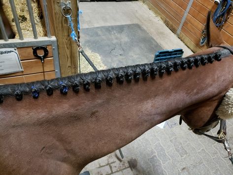 Braided mane hunter braids hunter jumper horse braid horse show Horse Braids Mane, Horse Tail Braid, Hunter Braids, Mane Braids, Horse Mane Braids, Horse Braids, Fun Braids, Horse Tack Diy, Hunter Jumper Horses