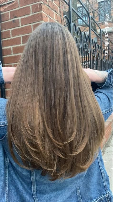 Hair Color Ideas Ash Brown, Anime Hair Color Ideas, Hair Color Ideas Auburn, Long Layers Long Hair, Brown Hair Layered, Hairstyle With Butterfly Clips, Long Hair Light Brown, Brown Hair Women, Hairstyle With Butterfly