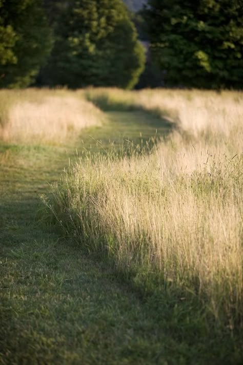 Tall Grass Landscaping, Rich Spirit, Storm King, Grasses Landscaping, Art Realism, Grasses Garden, Grass Field, Sculpture Garden, Photography Color