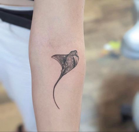 Manta Ray Yin Yang Tattoo, Stingray Drawing Tattoo Designs, Stingray Leg Tattoo, Stingray Flower Tattoo, Cow Nose Ray Tattoo, Spotted Ray Tattoo, Realistic Stingray Tattoo, Spotted Stingray Tattoo, Sting Rays Tattoo