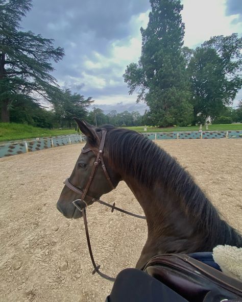 i think i like this little life🌞 #normandie #horse #equestrian #horserider #horseriding #cowgirl Horse Riding Pov, Spam Instagram, Ride Horse, Horsey Life, Horse Riding Aesthetic, Equestrian Aesthetic, Horse Riding Equestrian, Farm Lifestyle, Riding Horse