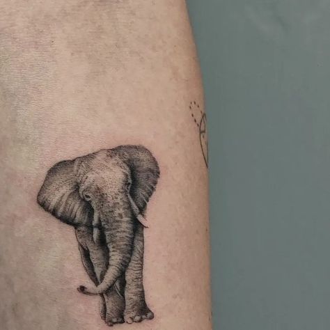 ▪️𝔗 𝔞 𝔱 𝔱 𝔬 𝔬 𝔖 𝔱 𝔲 𝔡 𝔦 𝔬▪️ on Instagram: "Micro 🐘 Artist°PanagiotisGogou Fine.Needle.Art @tattools_anso_supplies @think_positive_tattoo_care_wax @pepax.official @hornetarttattoosupply @tia_does_travel ✌️😎 #microrealism #elephant #elephanttattoo #details #fineart #tattoosofinstagram #tattoosoftheday #inkedgirl #tattrx" Elephant Tattoo Design For Women, Elephant Head Tattoo, Reflection Tattoo, Microrealism Tattoo, Tattoo Elephant, Elephant Tattoo Design, Tattoo Care, Elephant Tattoo, Elephant Tattoos