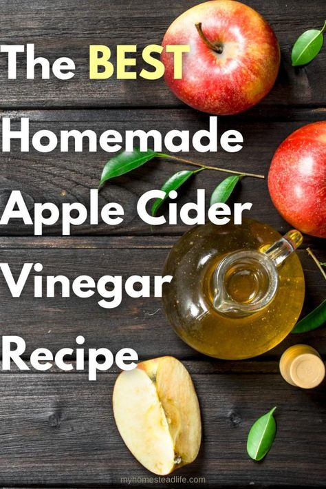 Best Homemade Apple Cider Vinegar Recipe - My Homestead Life Home Made Apple Cider, Homemade Apple Cider Vinegar, Make Apple Cider, Apple Cider Vinegar Recipes, Make Apple Cider Vinegar, Homemade Apple Cider, Homestead Life, Homemade Apple, Cider Vinegar