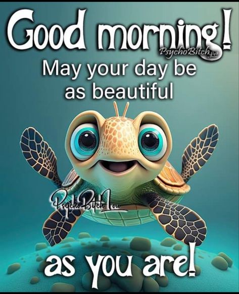 Good Morning Turtle, Simple Good Morning Texts, Simple Good Morning Texts For Him, Simple Good Morning, Good Morning Texts For Him, Morning Texts For Him, Turtle Images, Special Friend Quotes, Happy Day Quotes