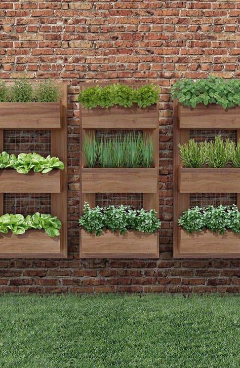 10 Home Photos of Vertical Gardens Vertical Vegetable Garden Design, Vegetable Gardens Ideas, Vertical Herb Gardens, Herb Garden Wall, Vertical Vegetable Gardens, Vertical Vegetable Garden, Vertical Garden Wall, Full Sun Plants, Garden Herbs