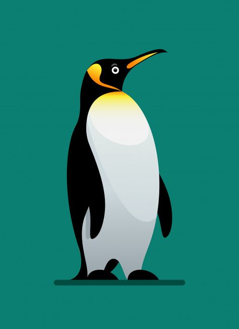 Penguin winter animal | Premium Vector #Freepik #vector #background #banner #winter #baby Clarence Cartoon Network, Teaching Graphic Design, Penguin Illustration, Penguin Drawing, Christmas Graphic Design, Animal Vector, Adobe Illustrator Design, Graphic Design Cards, Penguin Art