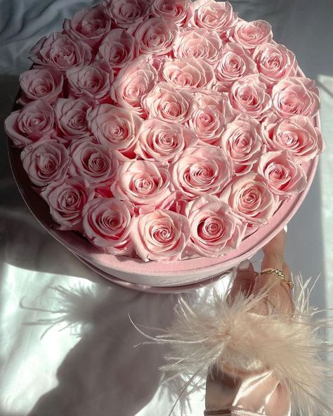 Flowers For Delivery, Forever Roses, Roses Aesthetic, Girly Decor, Pink Rose Bouquet, Soft Pink Theme, Pink Glam, Light Pink Flowers, Baby Pink Aesthetic