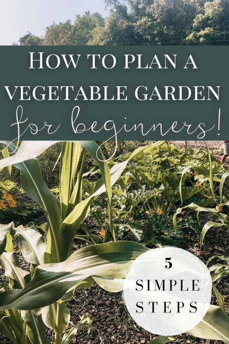 Small Vegetable Garden, Small Garden Layout, Garden For Beginners, Start Gardening, Garden Planning Layout, Growing Organic Vegetables, Garden Layout Vegetable, Small Vegetable Gardens, Vegetable Garden Planning